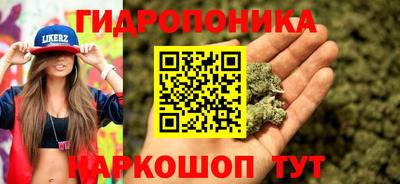 ешки Гатчина