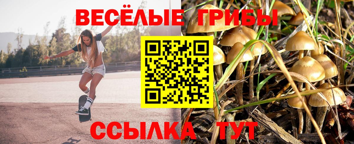 Псилоцибиновые грибы Cubensis Конаково