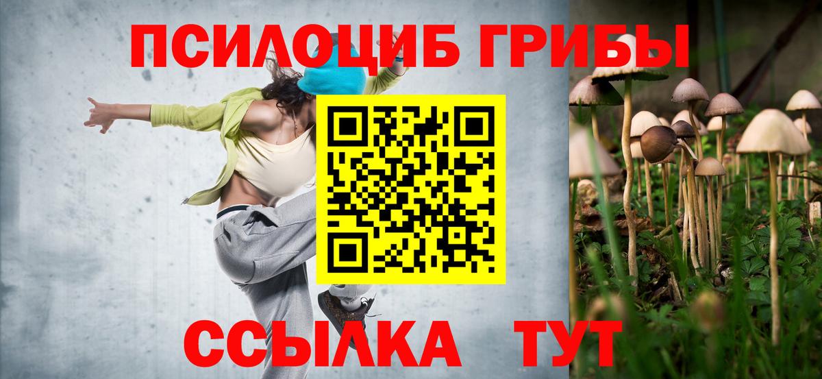 Конаково  наркотики  Вход с VPN  Псилоцибиновые грибы Cubensis 